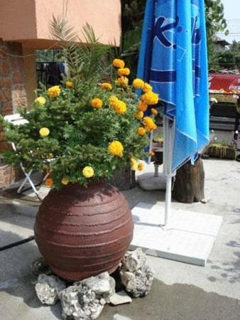 Hotel Mavrikova Kushta Bansko Exterior foto